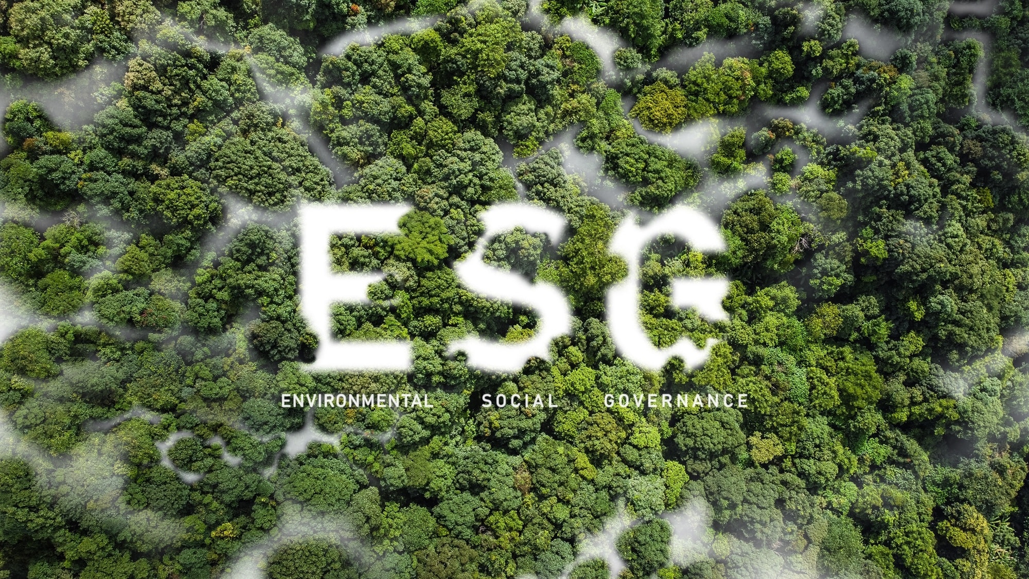 ESG